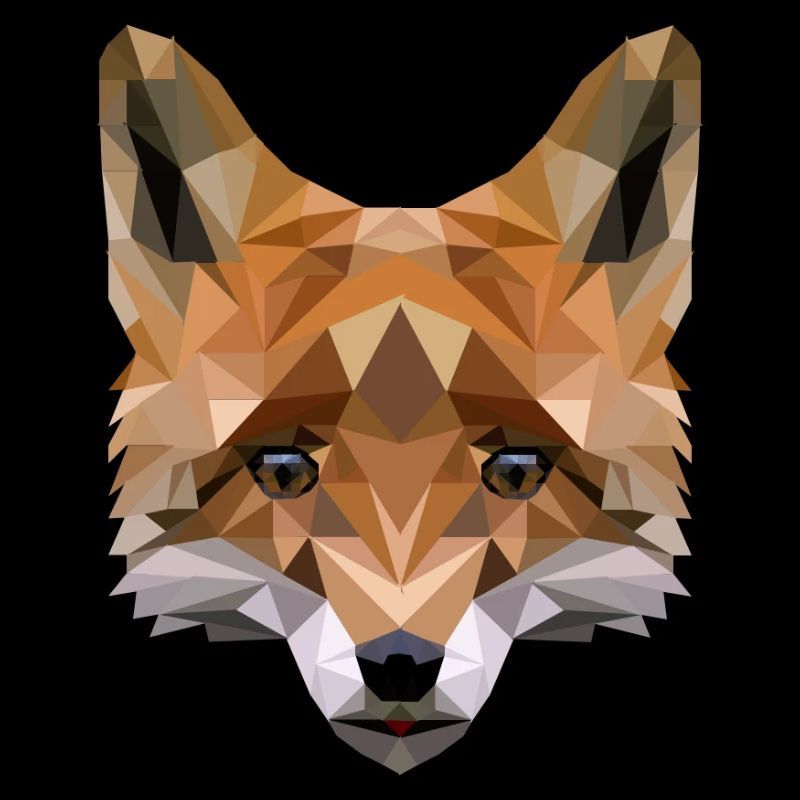 renard polygonal