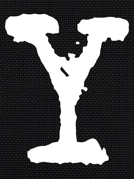 Y