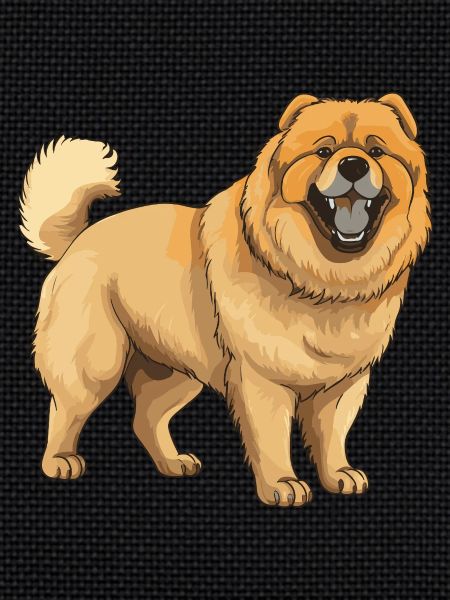 Chow Chow Chien