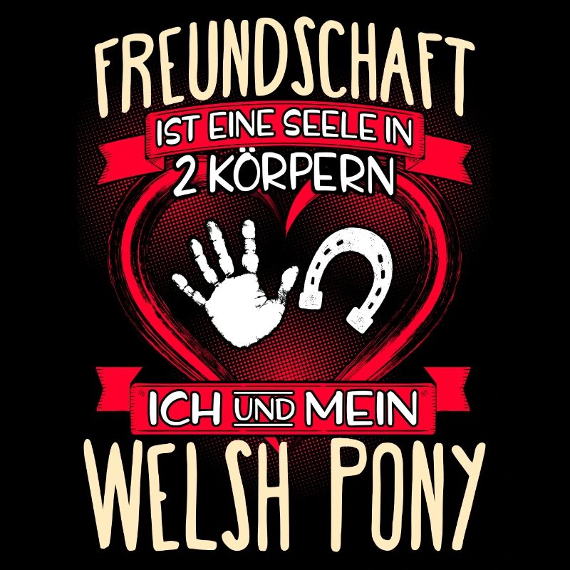 WELSH-PONY - 3