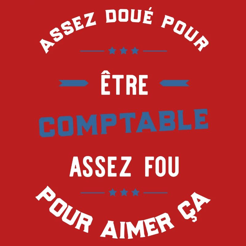 Assez doué comptable