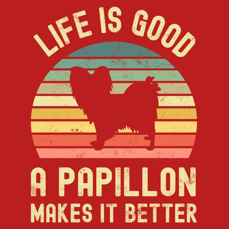 Hund Papillon