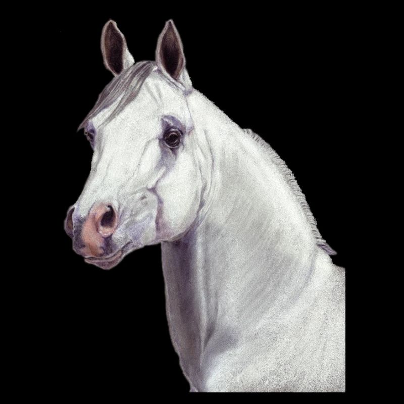 Cheval arabe