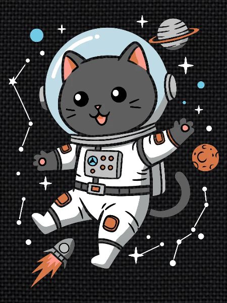 Chat de l’espace