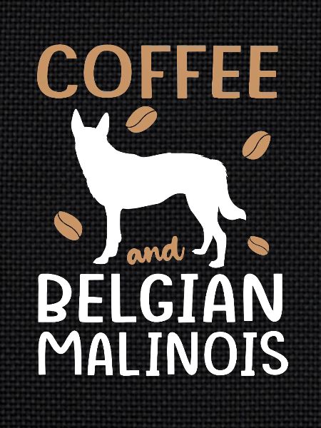 Belgian Malinois