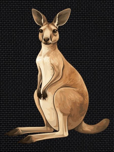 Kangourou