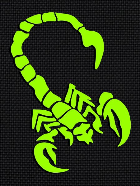 skorpion_01_3d