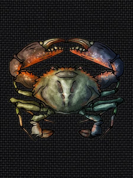 Crabe