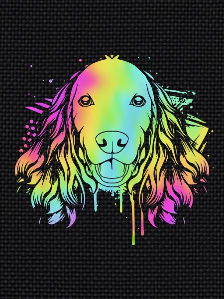Cocker Spaniel