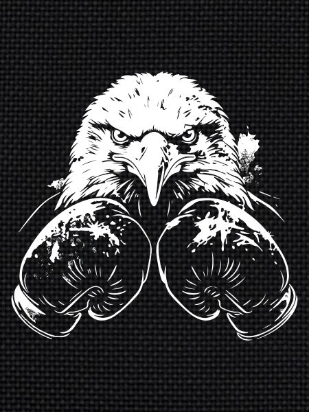 Eagle Boxing Fighter MMA