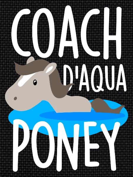 Coach d'aqua poney