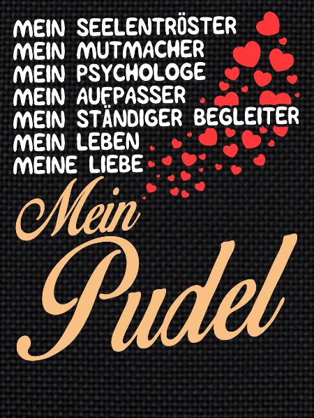 Pudel - Mein