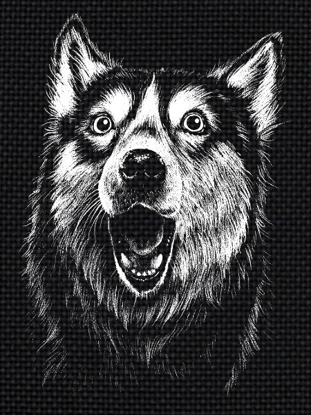 Dramatic Husky