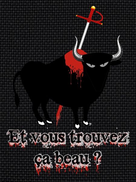 bullfight