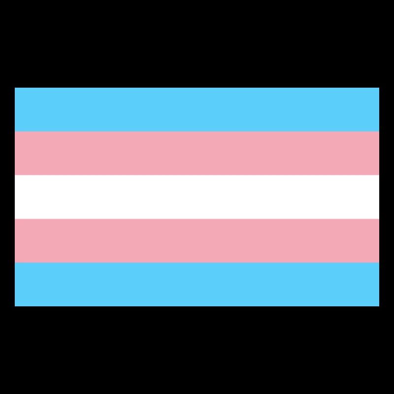 Drapeau trans