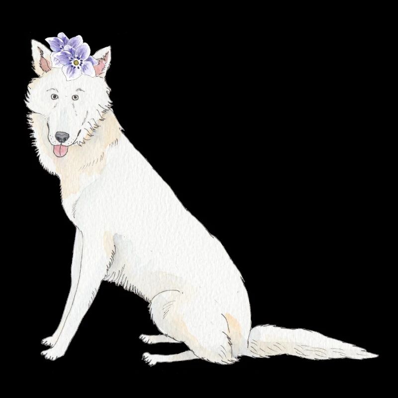 Schwiss shehperd blanc avec fleur
