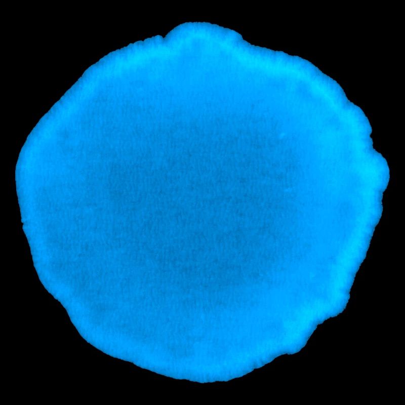 Punkt Blau