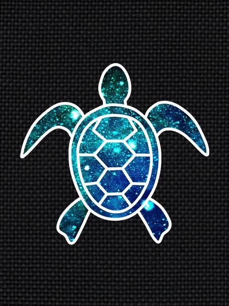 Cosmic Turtle