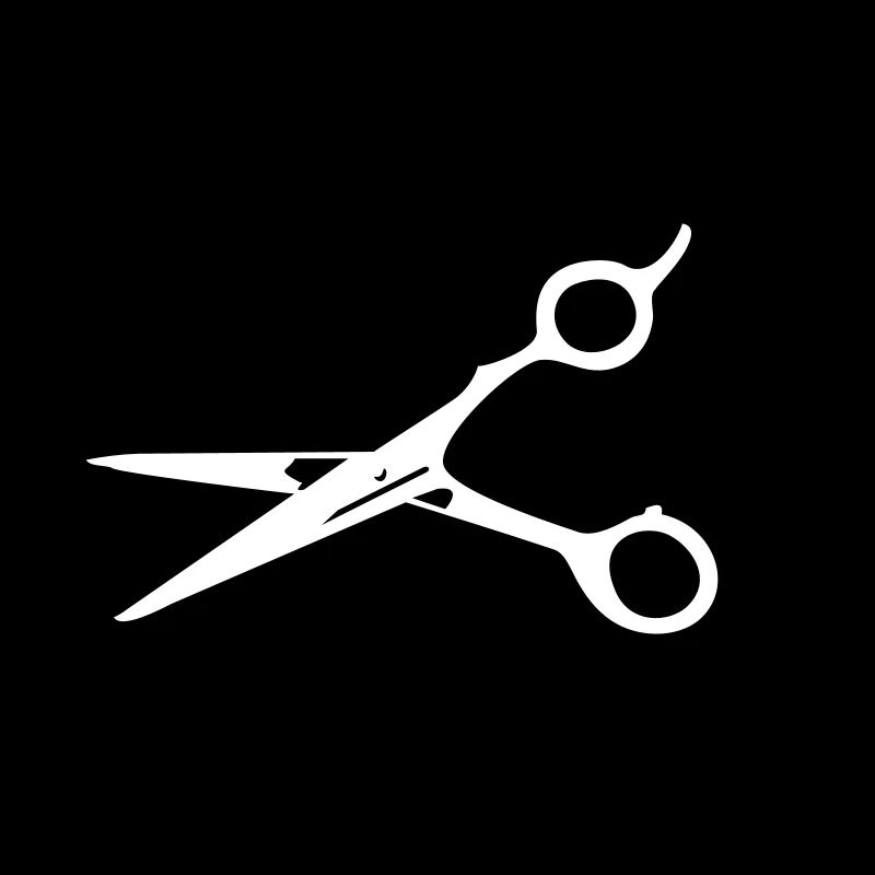 Frisör-Schere / barber scissors (1c)