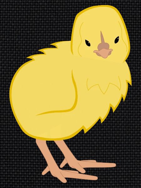 Küken