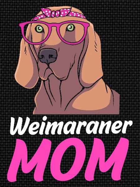 Weimaraner