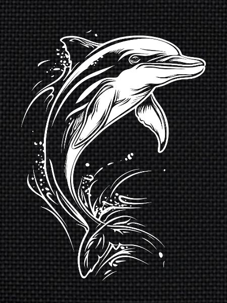 Dolphin