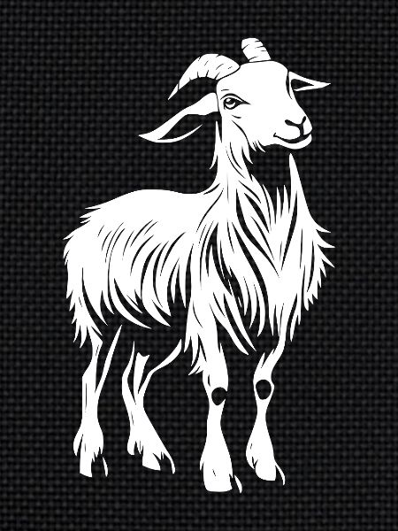 Ziege Goat