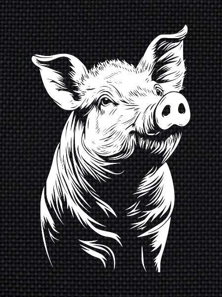 Pig