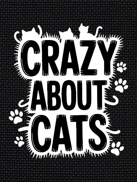 Fou de chats Katzen