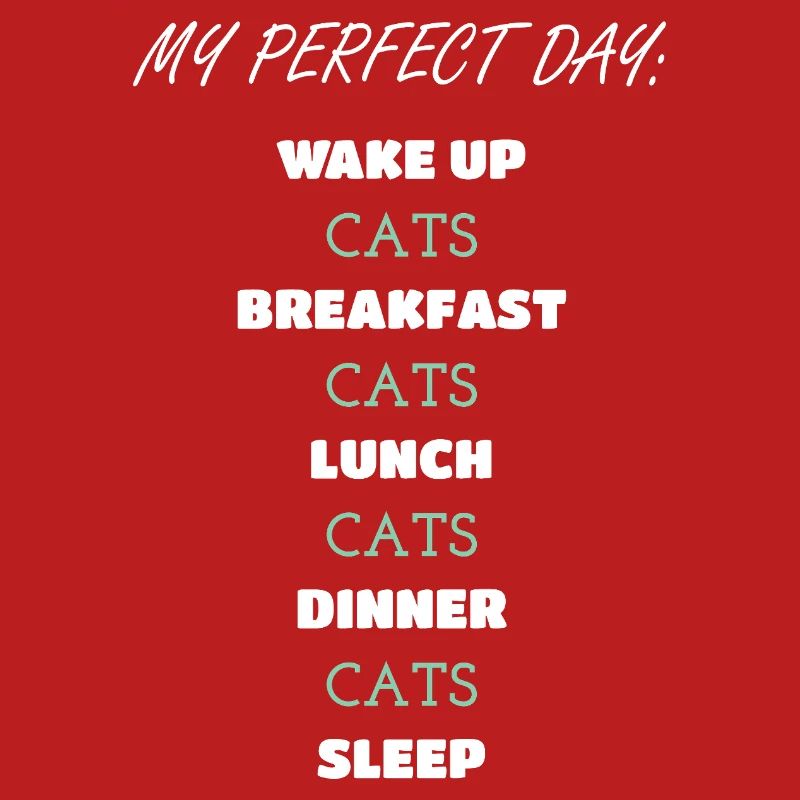 Whimsical Cat Daily Routine Design