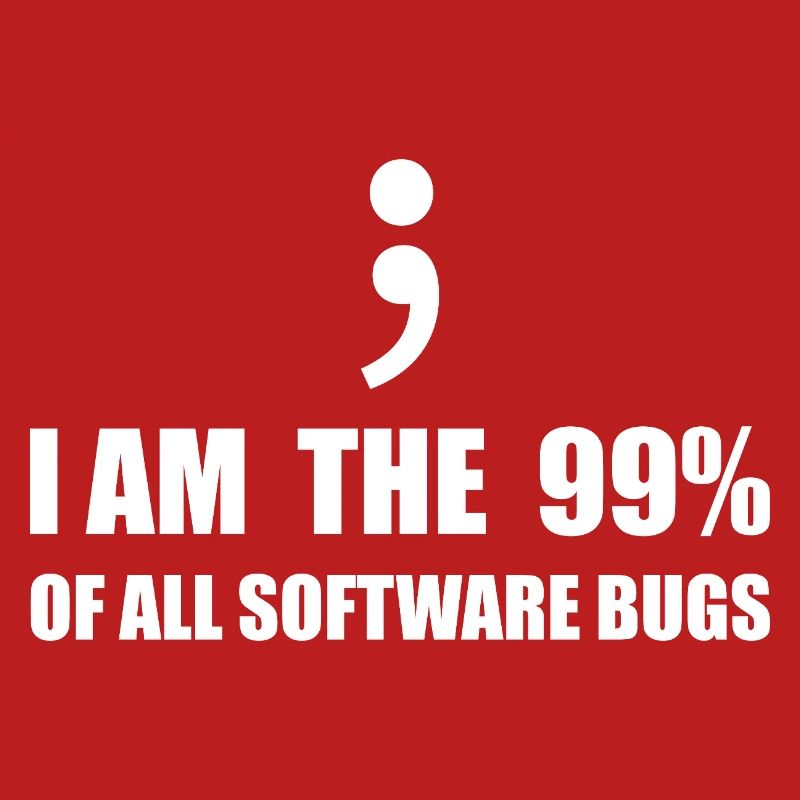 Informatiker, Programmierer