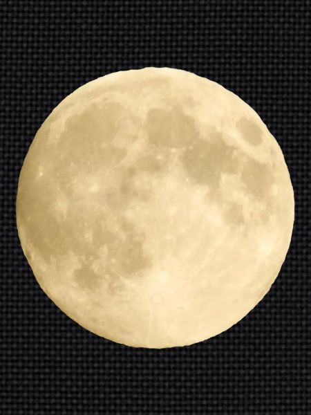 Mond