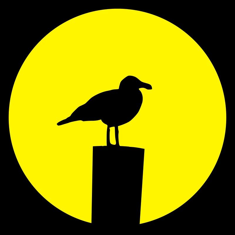 Möwe Sonne