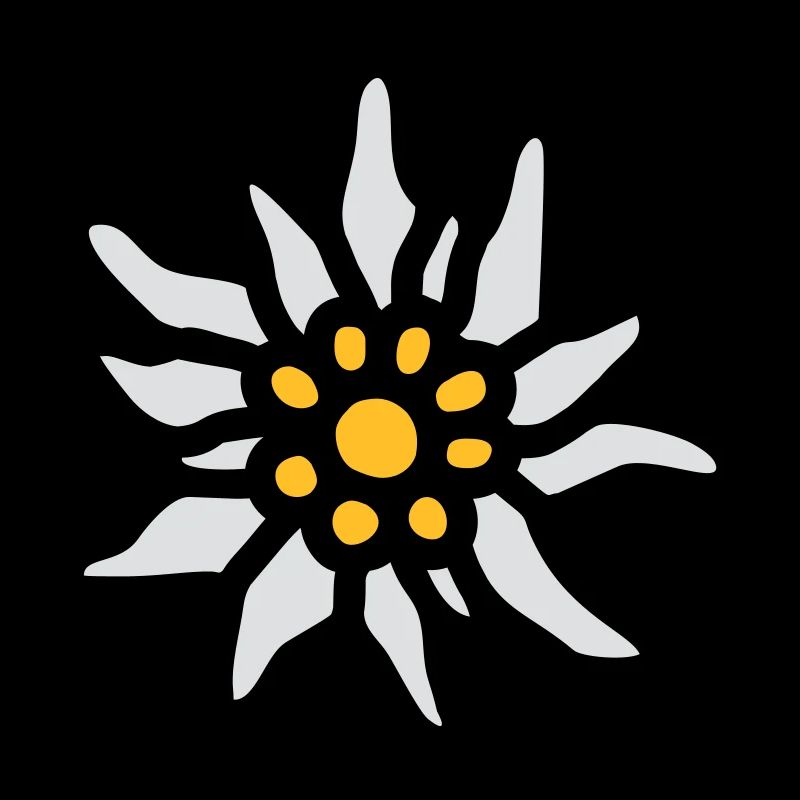 T-Shirt "Edelweiss" pour l', Dirndl,