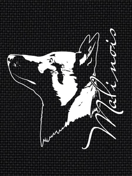 MalinoisPortrait