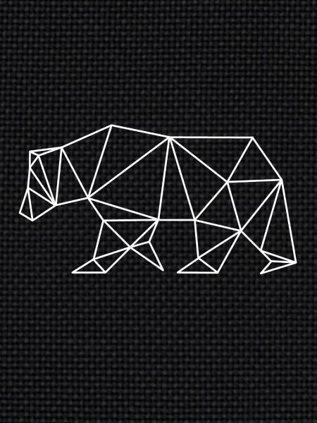Bear geometry art