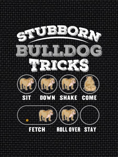 Hundetraining für Bulldogen