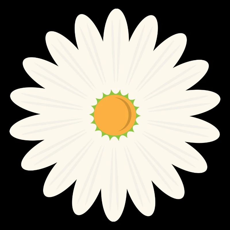 Margeritenblüte