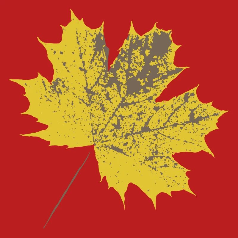 Yellow maple leaf