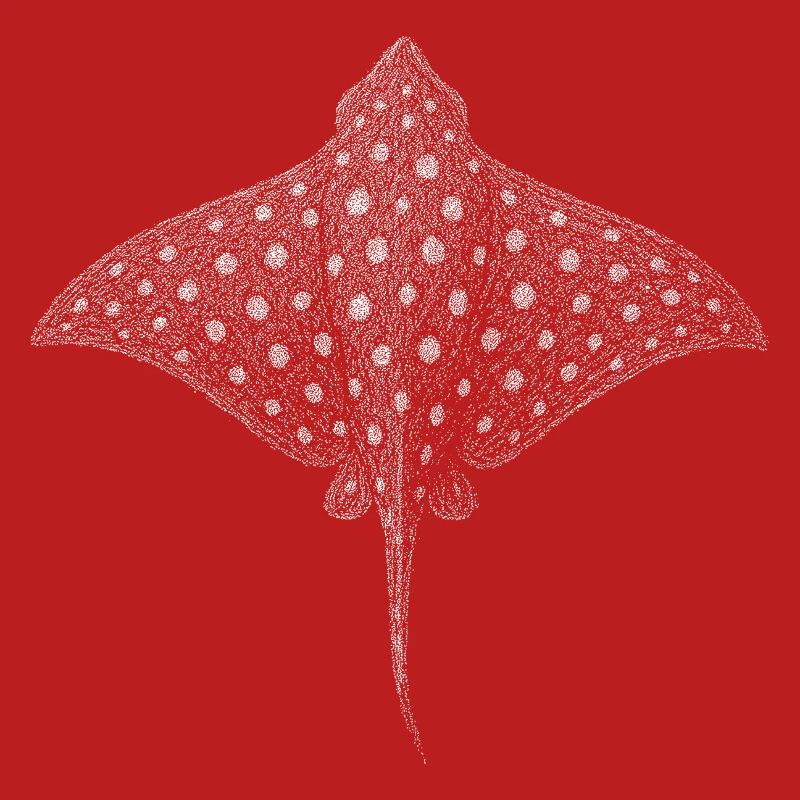 Spotted Eagle Ray