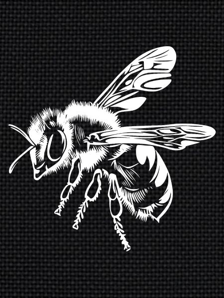 Bee Beekeeper Graphic