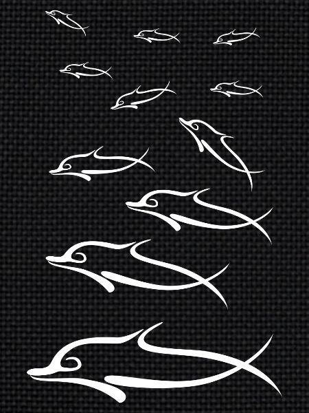 Dolphins group white