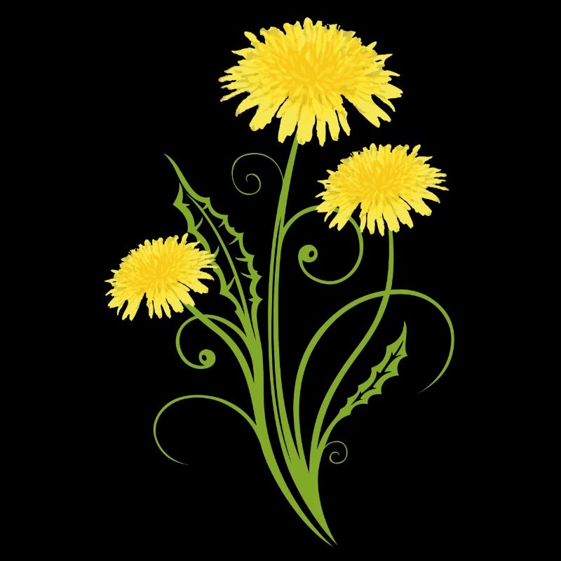 Realistic dandelion, Löwenzahn, Pusteblume