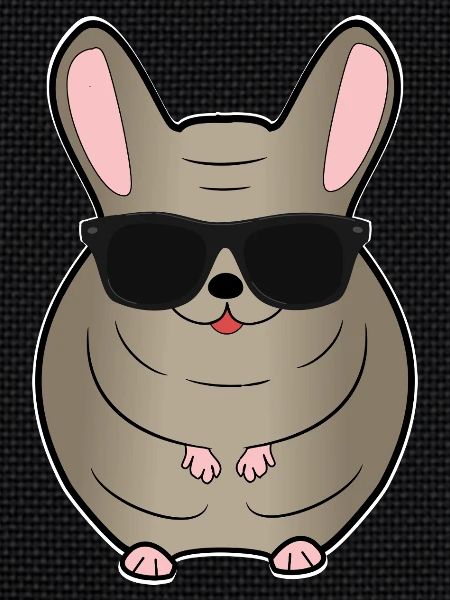 Chinchilla