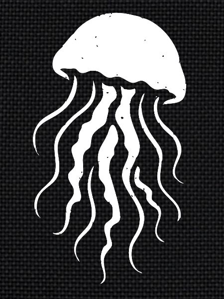 Jellyfish