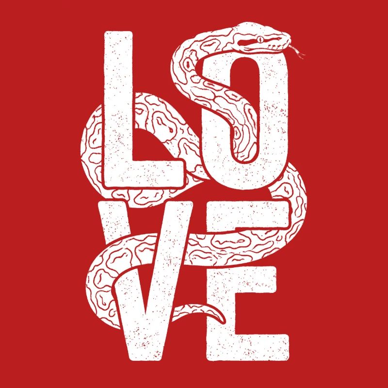 Königspython Schlangen LOVE Terrarium Python