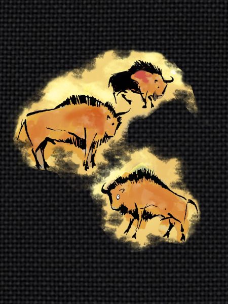 Bison
