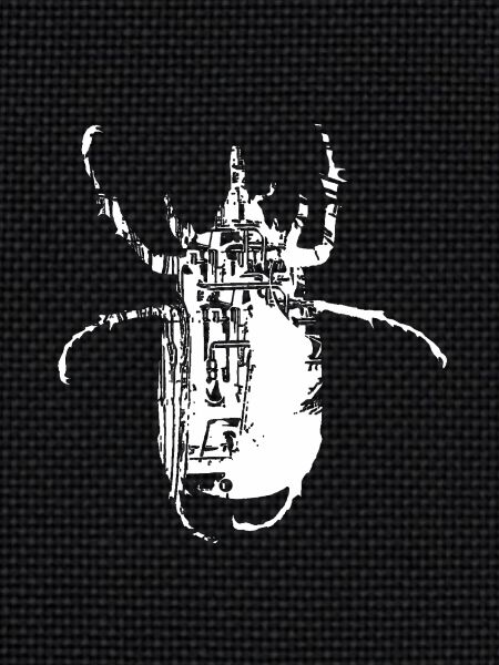 scarabée-Hex2A