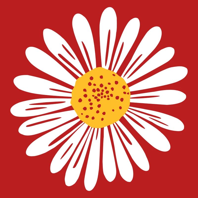 Gänseblume