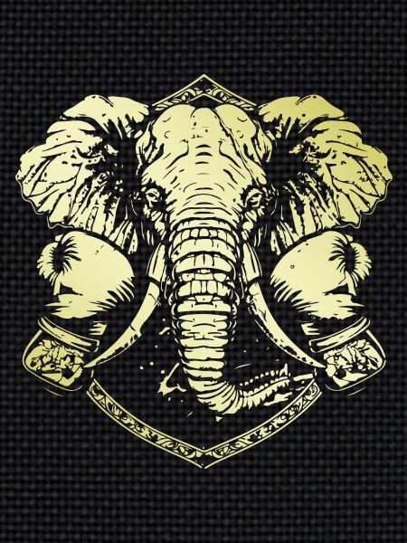 Elephant Boxer